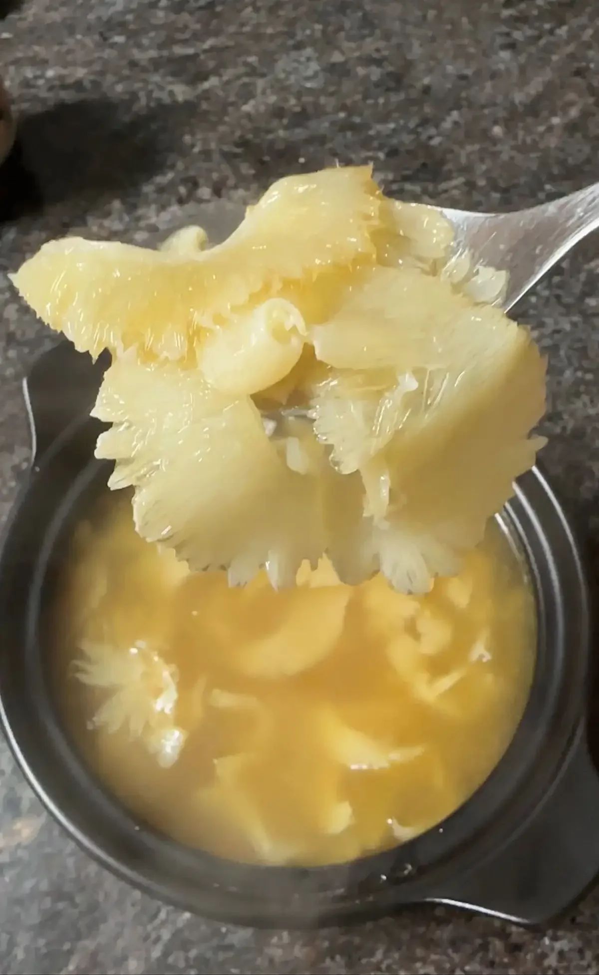 Shark Fin Constituted