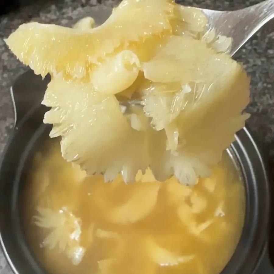 Shark Fin Constituted