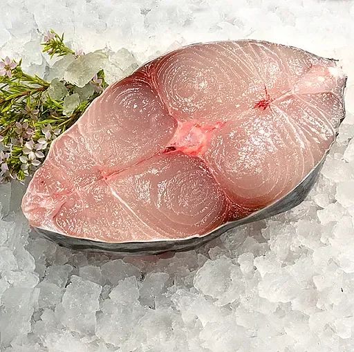 Spanish Mackerel