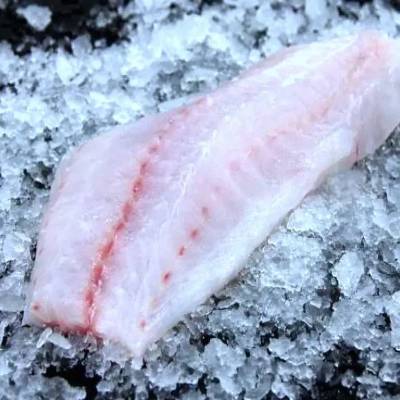 Spotted Cod Fillet