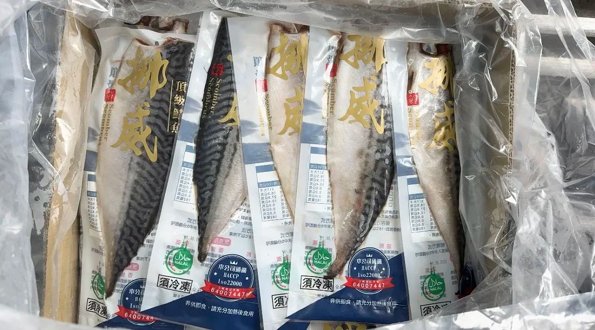 Taiwanese Mackerel Fillet