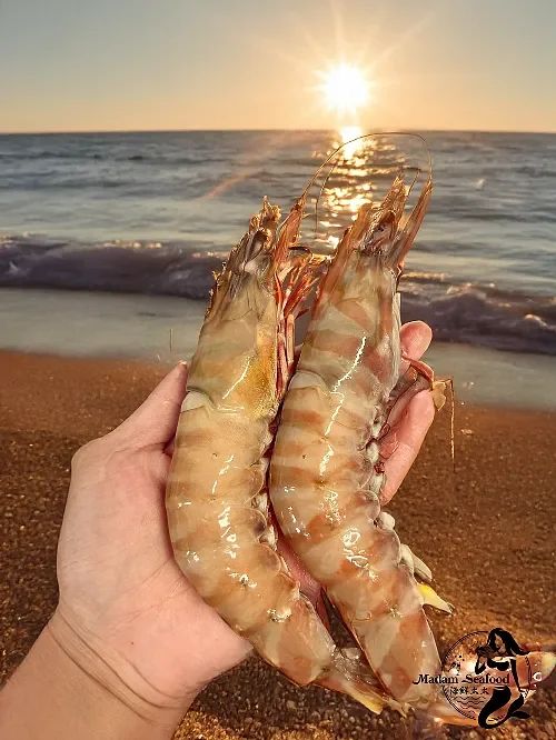 Tiger Prawn Jumbo