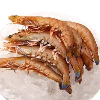U10 King Prawn Raw