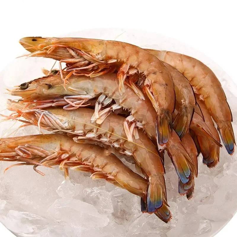 U6 King Prawn Raw