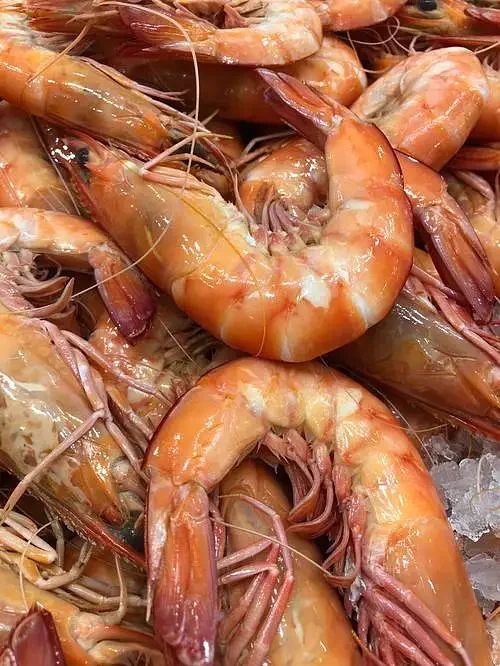 U8 King Prawn cooked