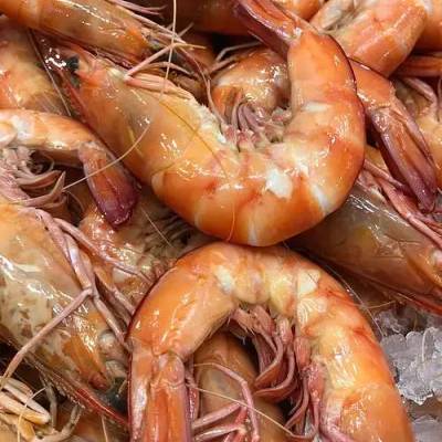U8 King Prawn cooked