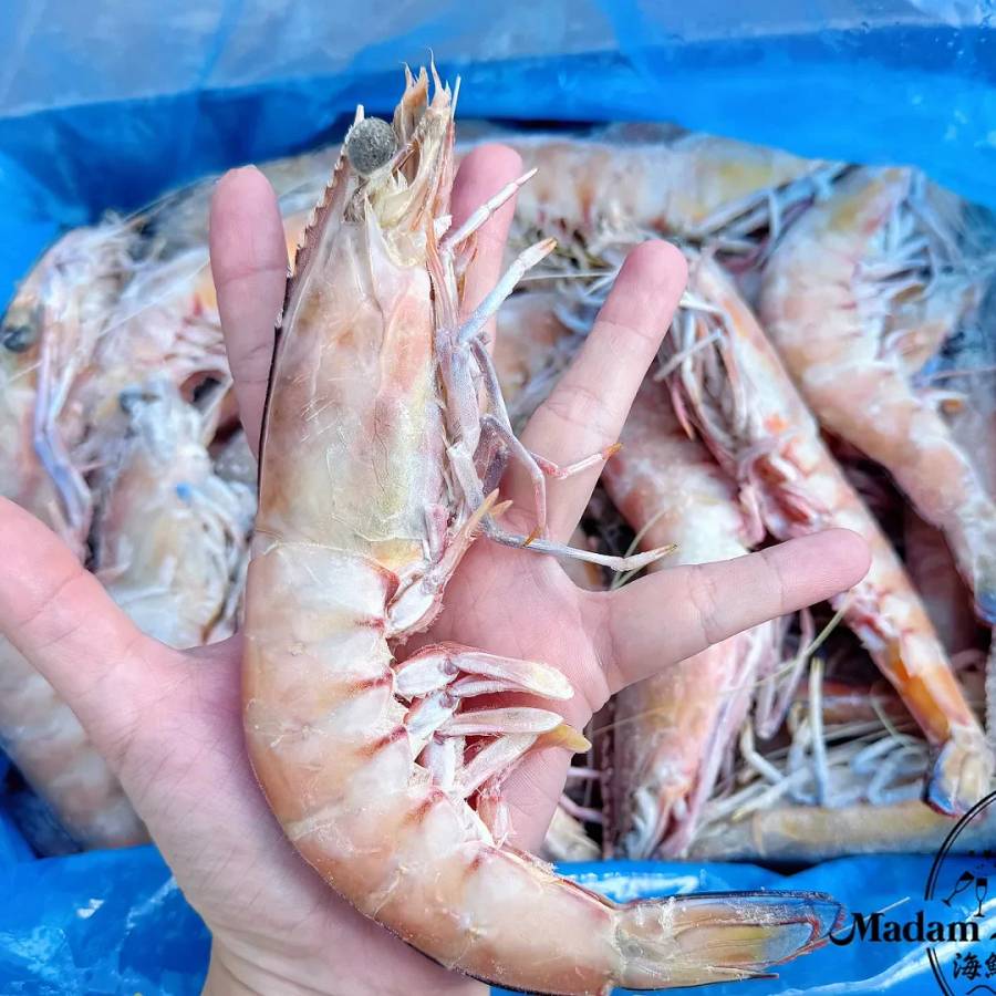 U8 King Prawn Raw