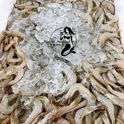 VIC School Prawn