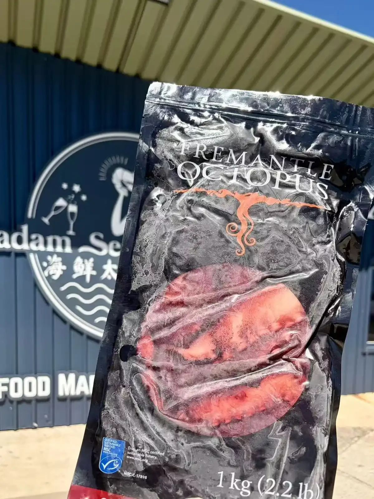 WA Octopus Legs