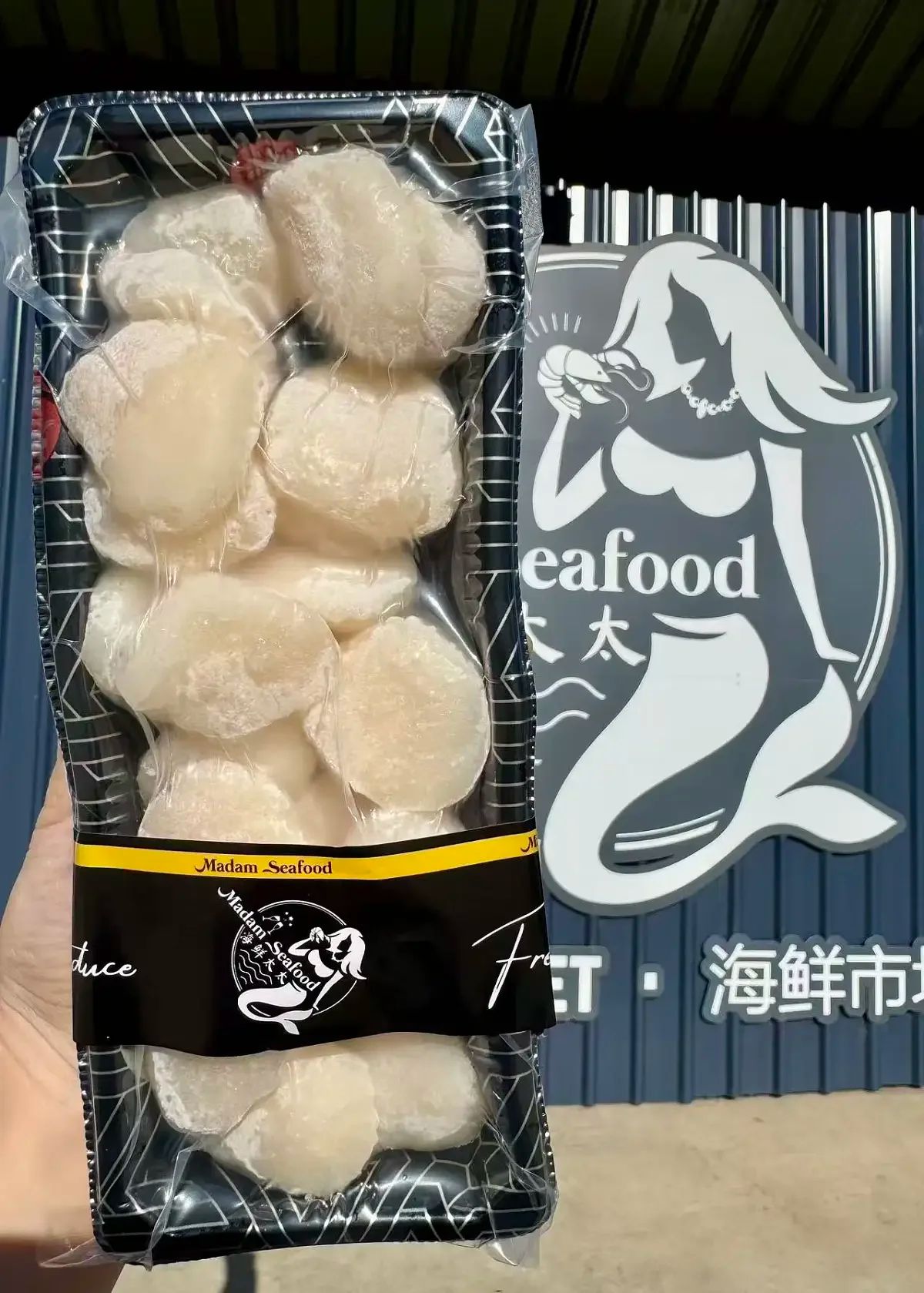 WA Scallop Meat