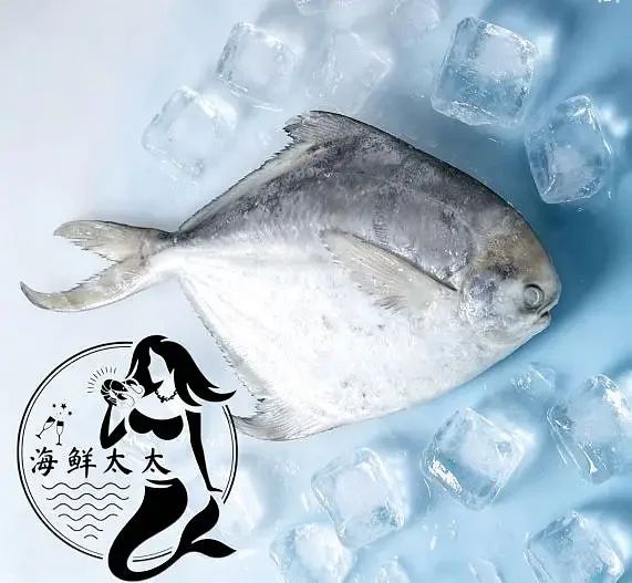 White Pomfret