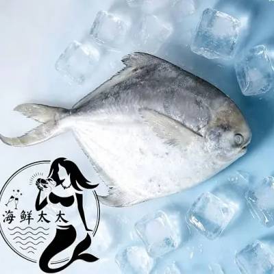 White Pomfret