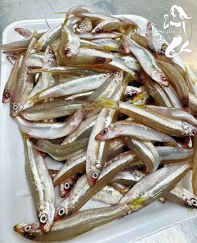 Whitebait
