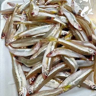 Whitebait