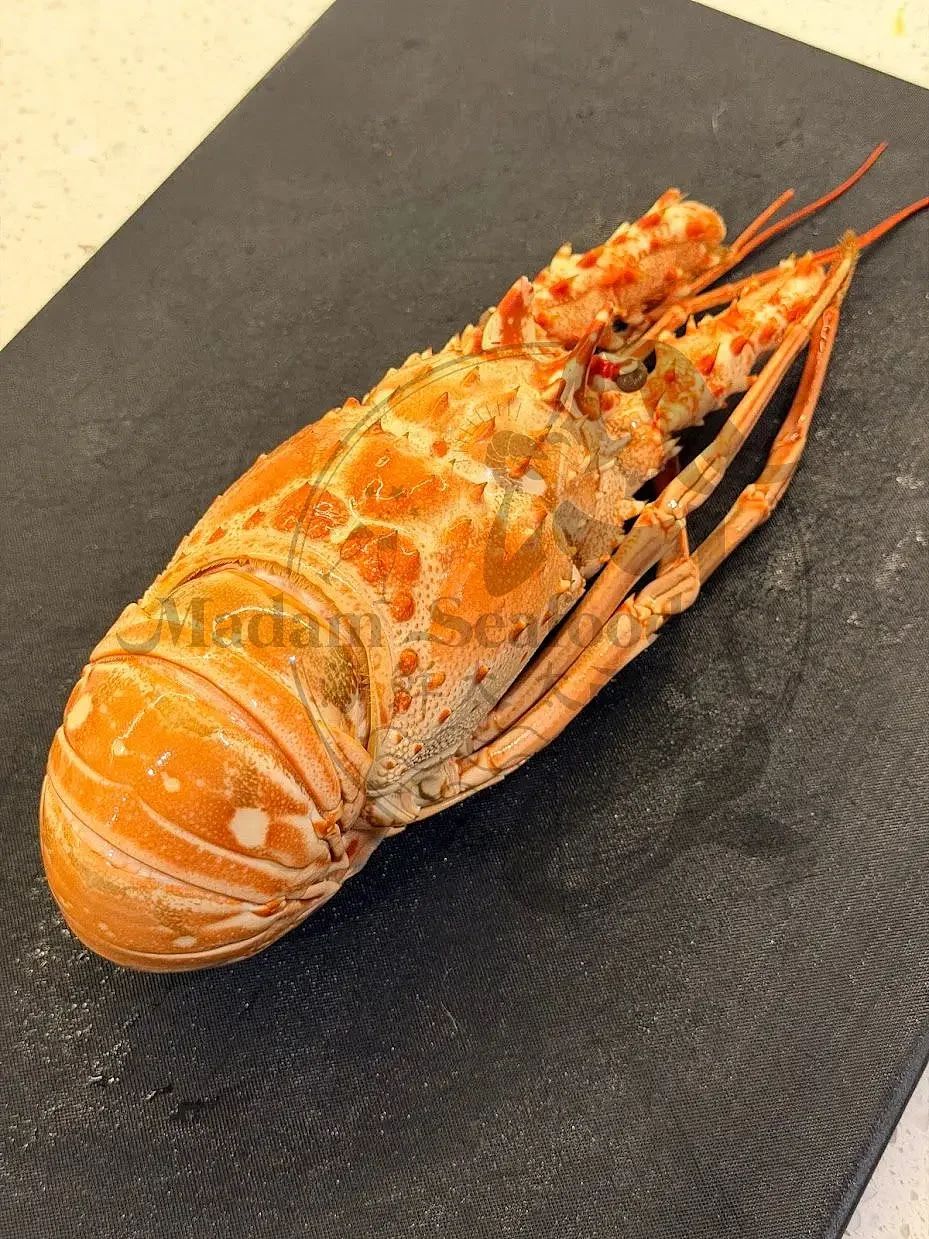 Whole Cooked Brazilian Lobsters
