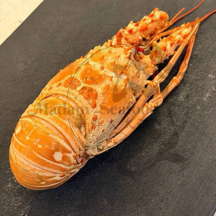 Whole Cooked Brazilian Lobsters