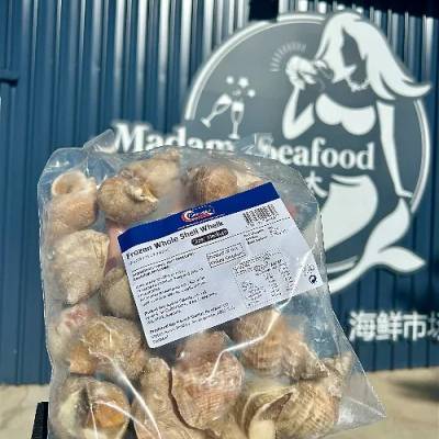 Whole Shell Whelk